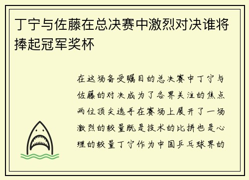 丁宁与佐藤在总决赛中激烈对决谁将捧起冠军奖杯